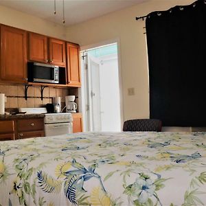 Deluxe Studio mit Kingsize-Bett